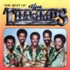 The Trammps “Disco Inferno”